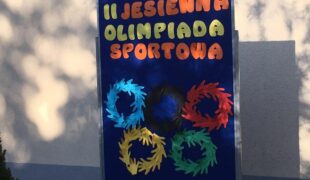 Więcej o: Dnia 27 i 28 października odbyła się w naszym przedszkolu już II jesienna olimpiada sportowa.